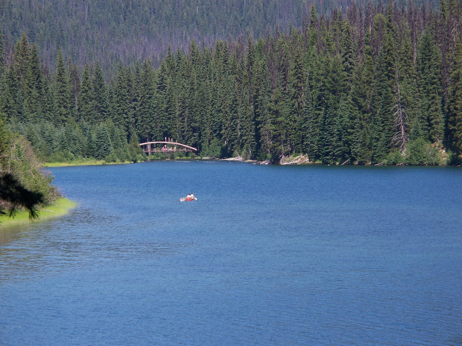 Paddlers on Lightning Lake surrounded by evergreen forest in E.C. Manning Provincial Park
