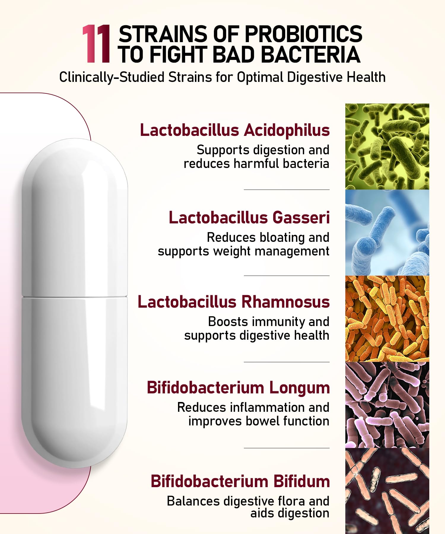 Probiotics 50B CFU | 11 Strains | Gut & Immune Support
