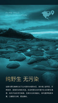 加拿大北大西洋野生金标海参