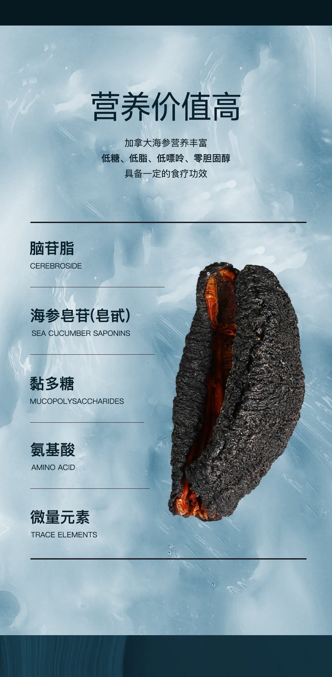 Canadian Northern Atlantic Wild Sea Cucumber Golden Label (open-edged sea cucumber)