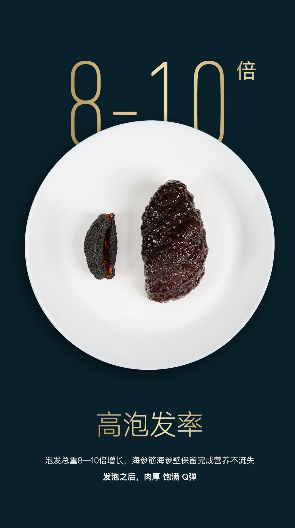 Canadian Northern Atlantic Wild Sea Cucumber Golden Label (open-edged sea cucumber)