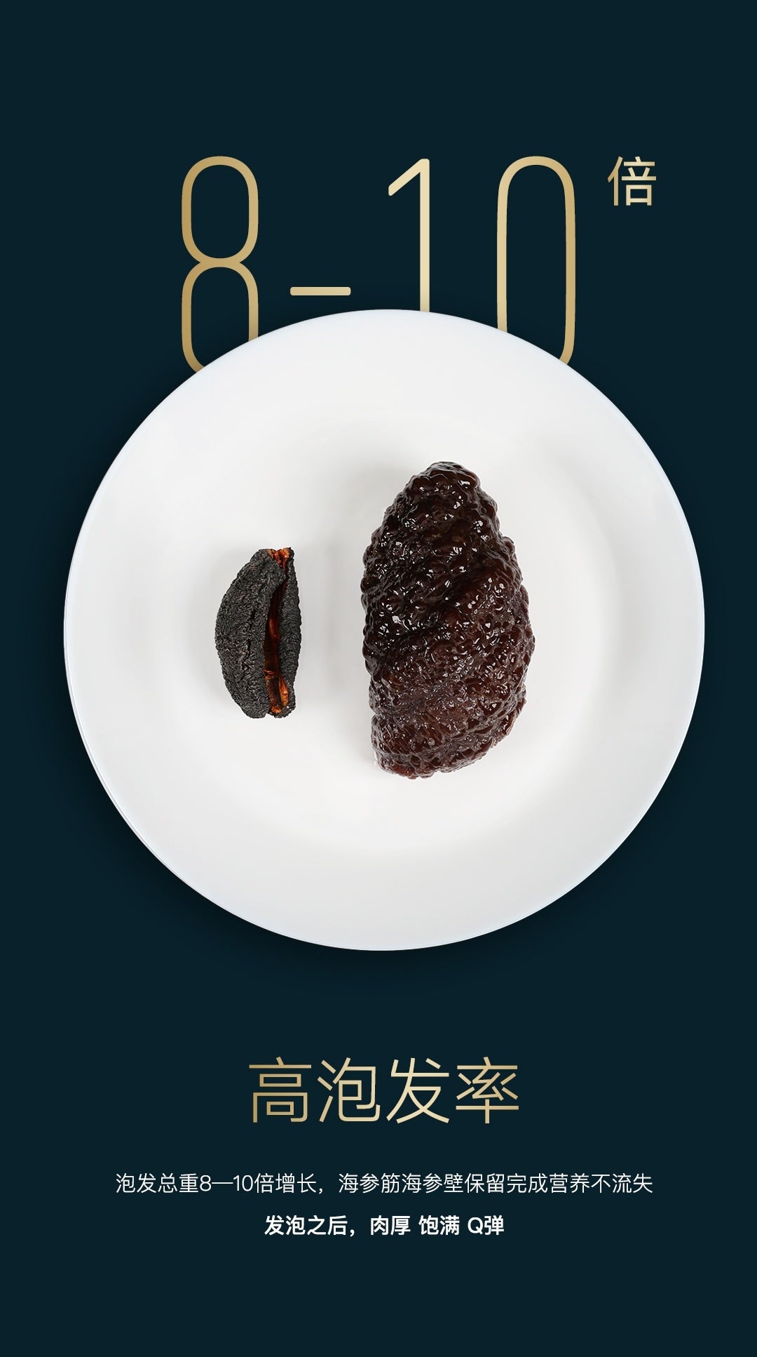Canadian Northern Atlantic Wild Sea Cucumber Golden Label (open-edged sea cucumber)