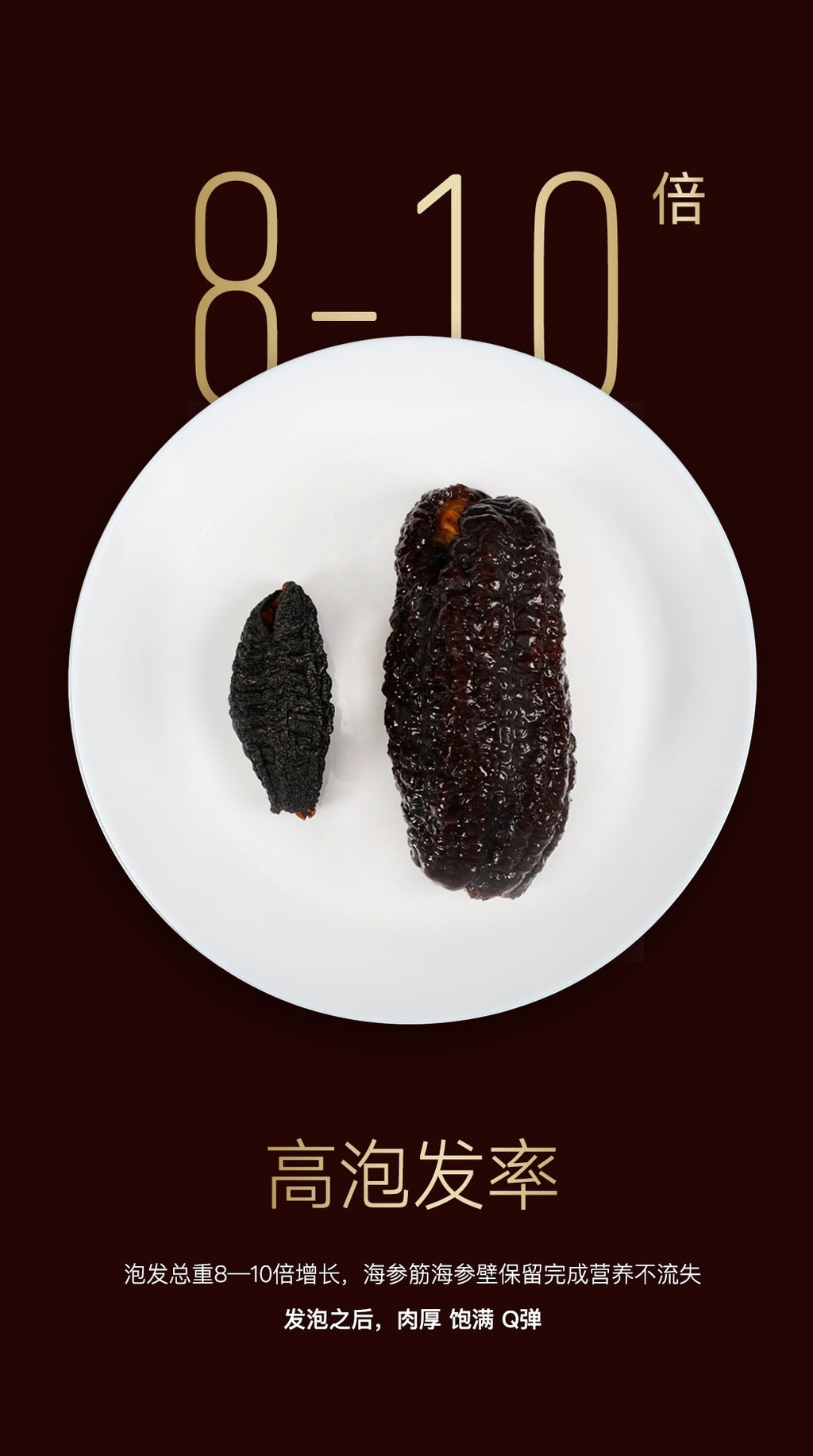 Canadian Northern Atlantic Wild Sea Cucumber Golden Label