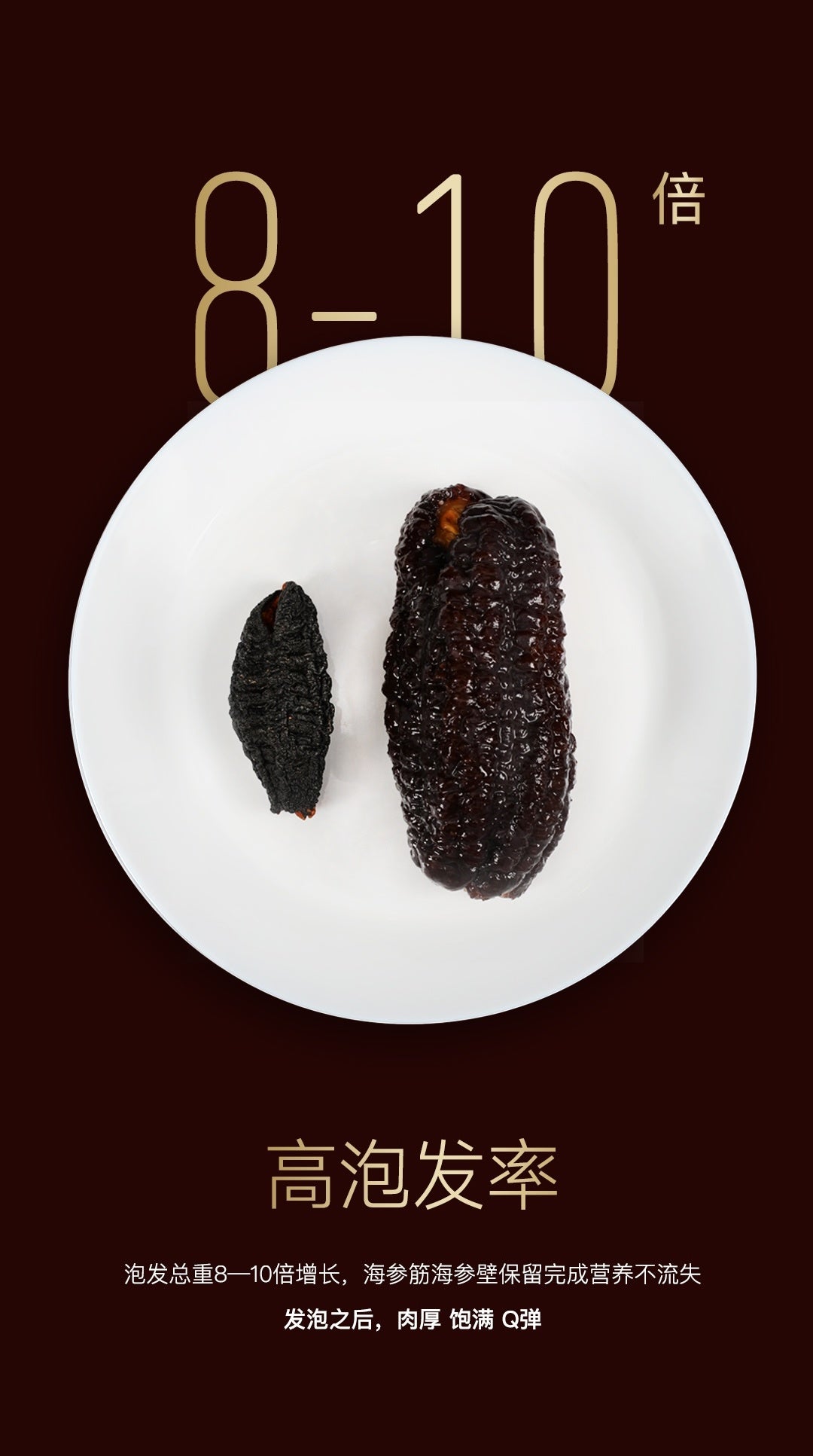 Canadian Northern Atlantic Wild Sea Cucumber Golden Label