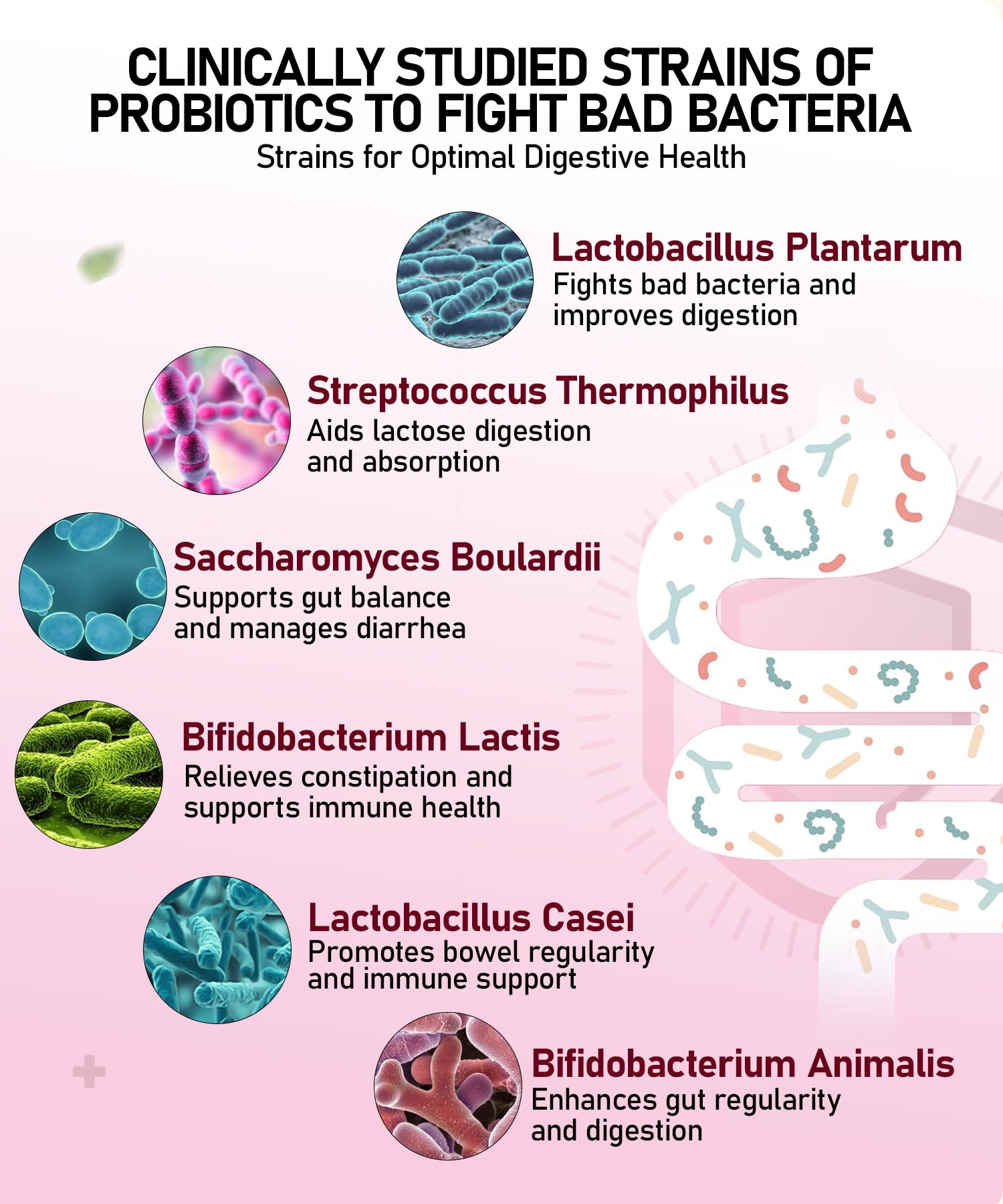 Probiotics 100B CFU | 11 Strains | Gut & Immune Support