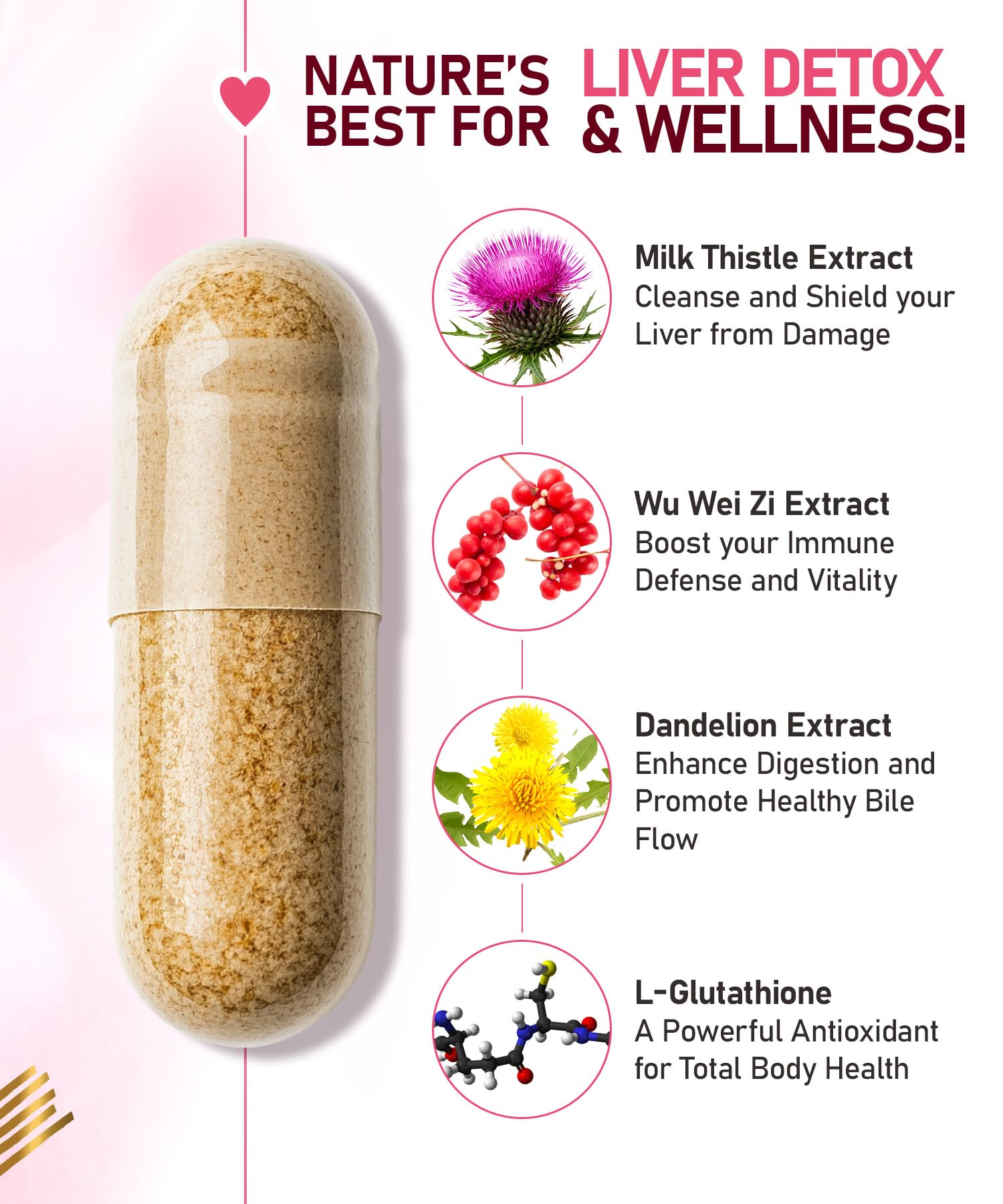 Liver Support | Detox, Digestion & Immune Support