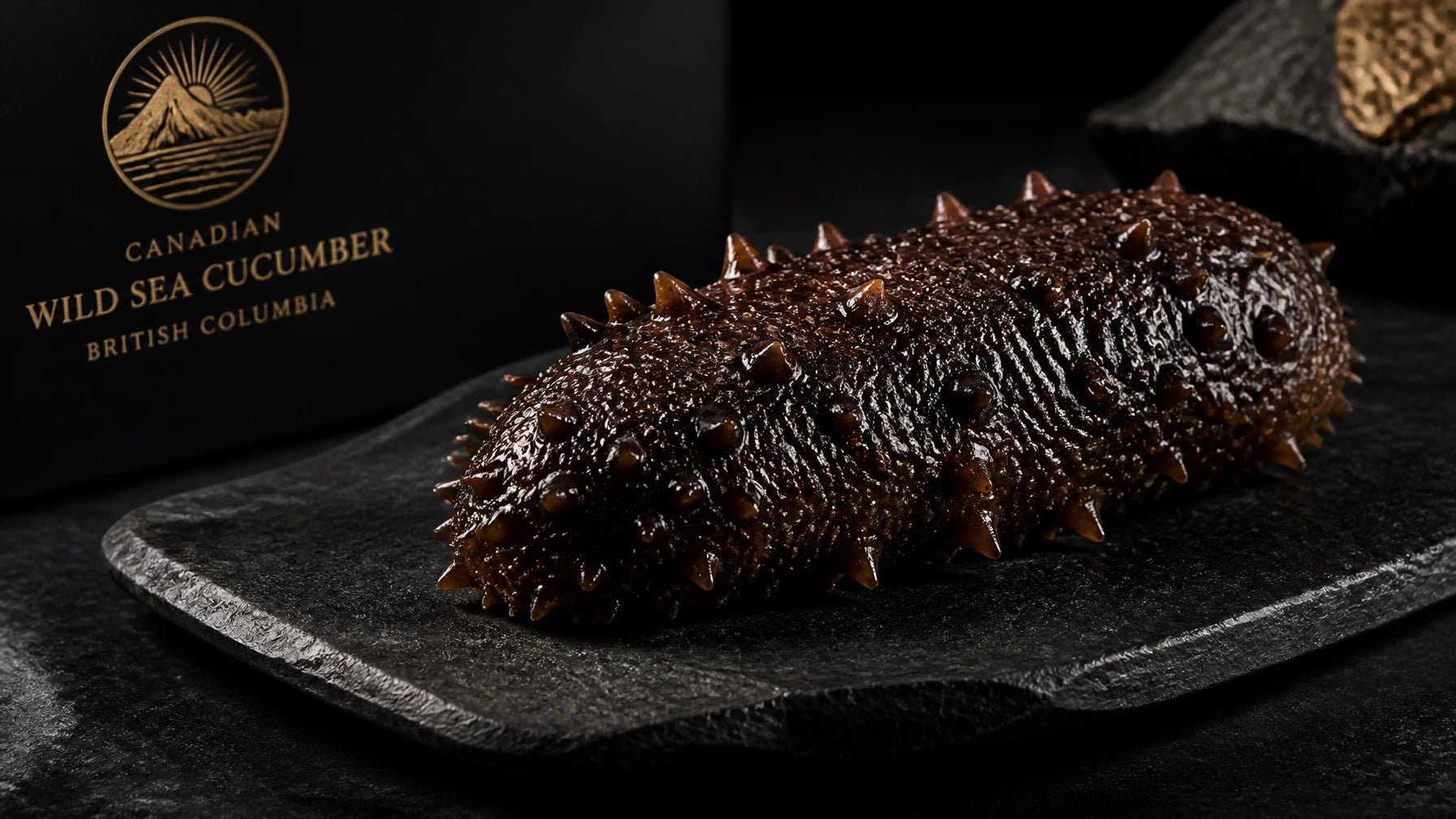 Wild Sea Cucumber Golden Label
