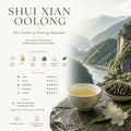 Shui Xian Oolong